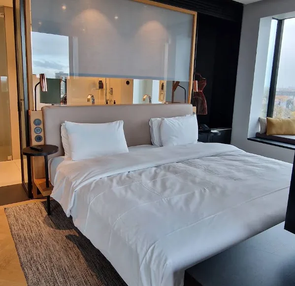 Andaz (4).webp