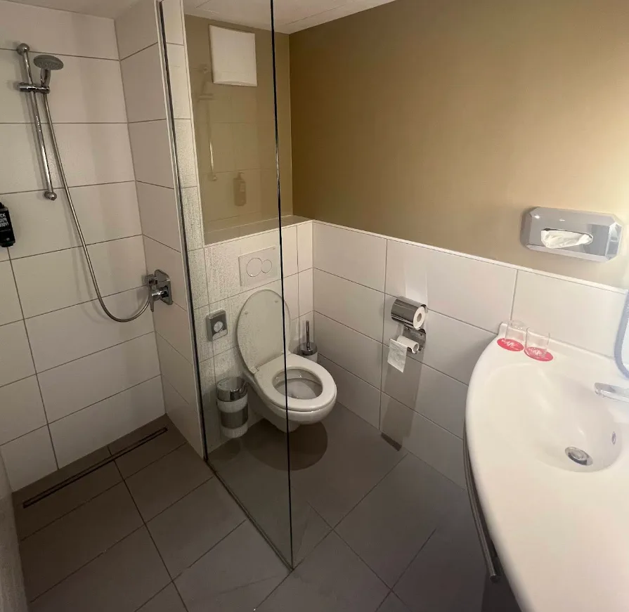 ibis (8).webp