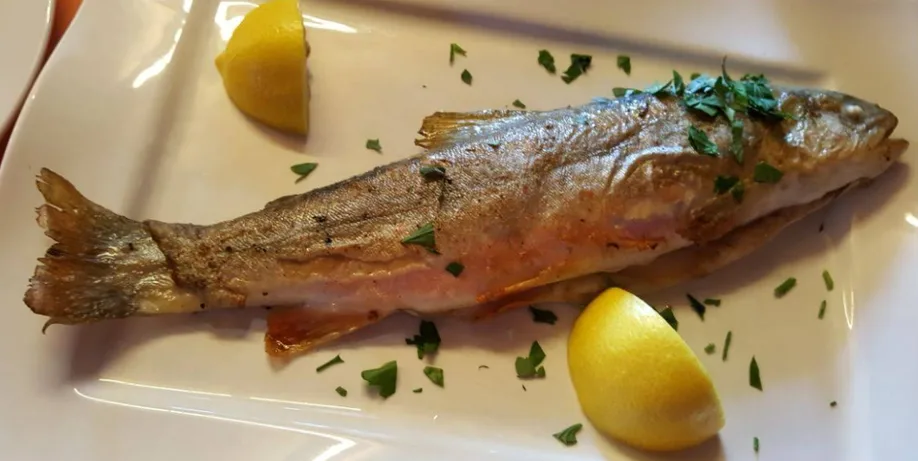 Griechische Taverne Zur Gartenlaube (17).webp