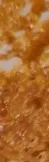 Les Deux (41).webp