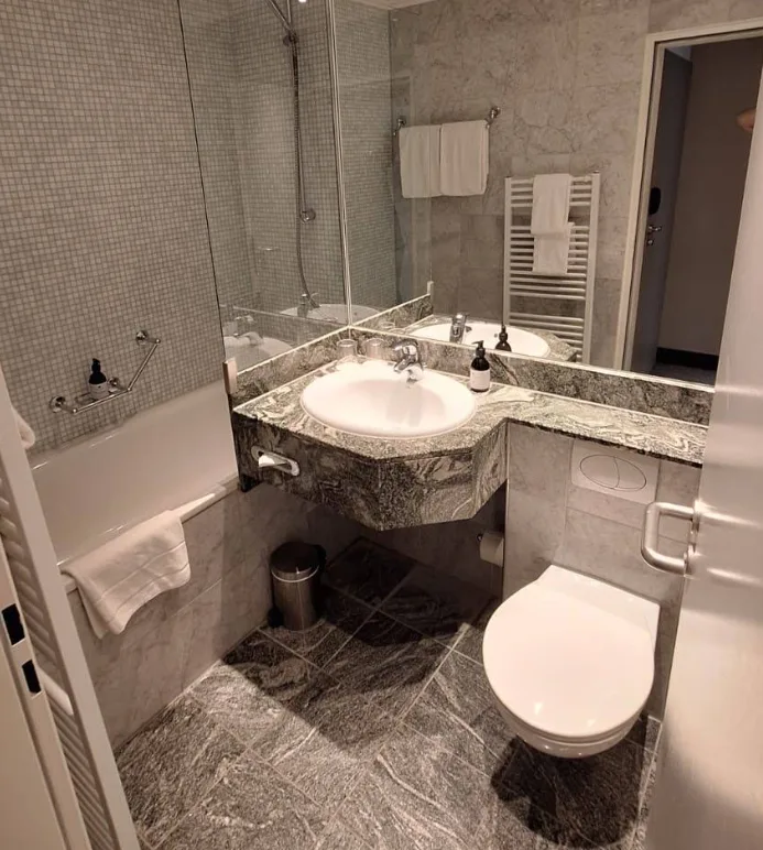 Hotel Erzgiesserei Europe (7).webp