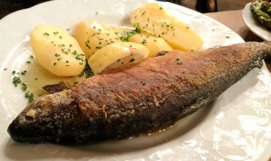 Gasthaus Isarthor (25).webp