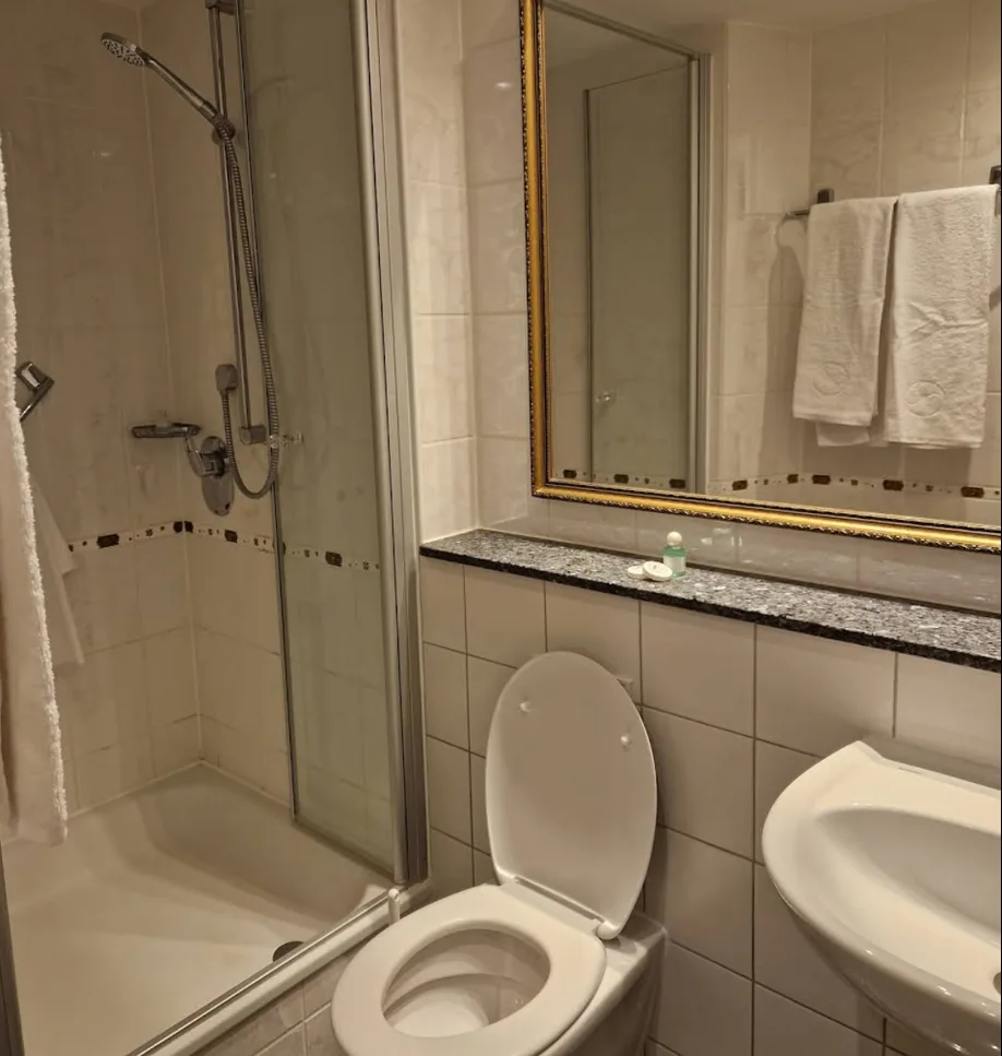 Hotel Aurbacher Hof (4).webp